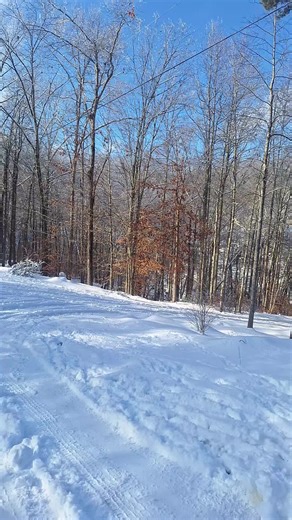 #nostart #humble #606Life #truckerlife #thankyoulord #keepontruckin #Joker&Clyde #freightliner #bigblue