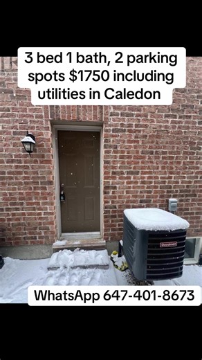 #bramptonrealestate #caledon #brampton #caledonbasement #bramptonrealtor