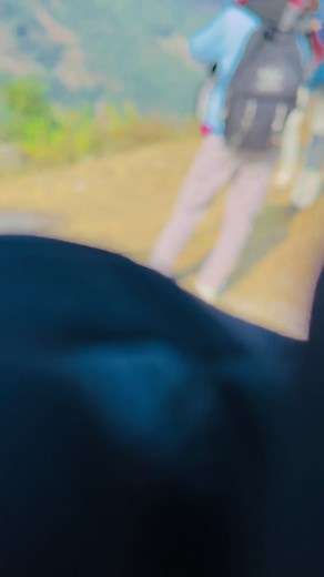 Däñgèrøûs Řãâjá on TikTok