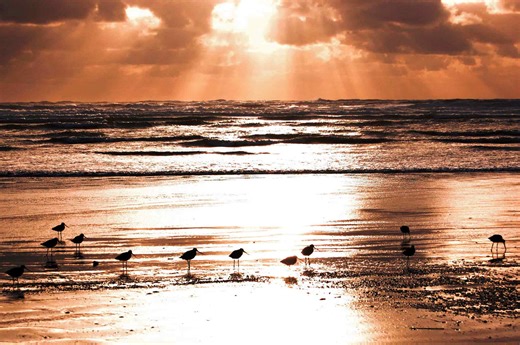 15 Fascinating Things You Probably Didn’t Know About the Ocean