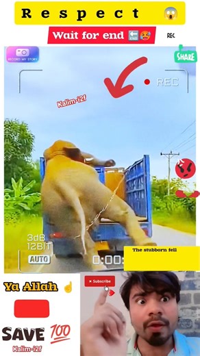 mashallah ☝️😇 respect 😍ep 09#allah #status #short #respect #shorts