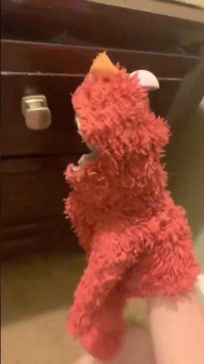 elmo world mail quiz