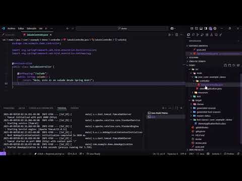 dependency:resolve - spring-boot:run