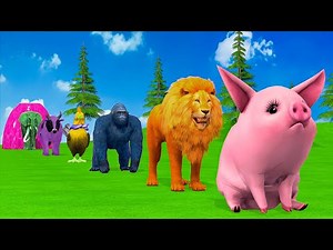Long Slide Game With Elephant Gorilla Buffalo Hippopotamus Tiger - 3d Animal Game - Funny 3d Animals