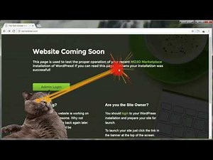 Chrome Extensions: How to Install and Uninstall Extensions with "Laser Cat"