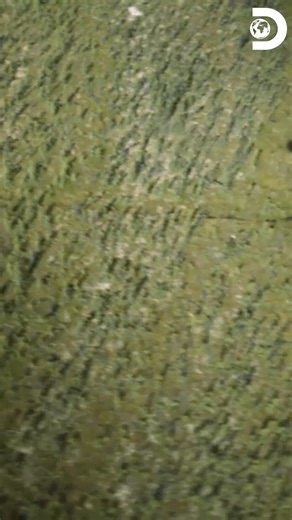 Una vieja pista de aterrizaje llama la atención de dos exploradores. ¡Por fin encontraron nueva evidencia real sobre la vieja base naval que esconde experimenteos secretos con OVNIS en Alaska! #AlaskaParanormal ✈️🛸🔬 Disfruta el contenido de Discovery en #HBOMax Suscríbete ahora: https://bit.ly/MAX-DiscoveryLA | Discovery Latinoamérica