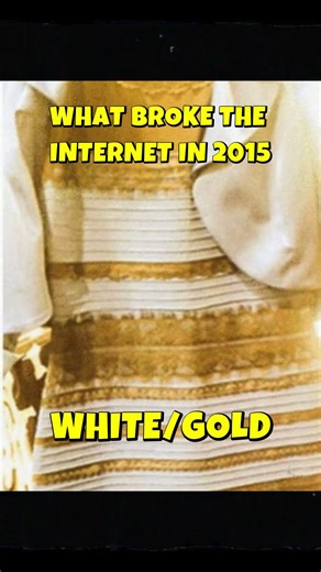 The dress that broke the whole internet #internetoddities #viral #shorts