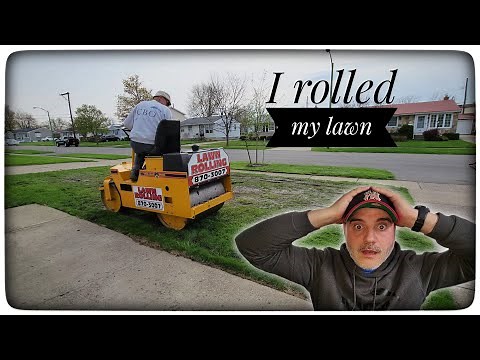 Is rolling the lawn a good idea? | Risks of extreme Spring Lawn Care