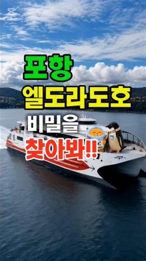 울릉도 독도여행.... 최고의 친구는 바로 한국이--!! 포항에서 울릉도 가실때 엘도라도호에서 반려인형 한국이를 만나보세요- 멋진 시간이 되실거에요--#울릉도#독도#포항#한국이