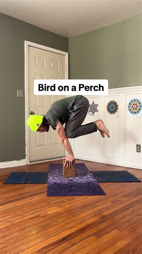 I call this bird on a perch pose. #yogapose #yogaflow #yogadaily #yogainspiration #yogamotivation