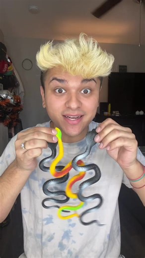 Water Growing Snakes Experiment: Which One to Grow First?