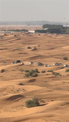 Muhammad Naveed on Instagram: "🌟 Experience the Ultimate Dubai Desert Safari! 🌟 📲 Book Now: +971565648604 Get ready for: 🚗 Hotel pick-up & drop-off 🔥 Thrilling Red Sand Dune Bashing 💃 Live Shows: Belly Dance, Fire Show, Tanoura & more 🐪 Camel Ride & 🏂 Sand Boarding ✋ Henna Tattoos for ladies & kids 🍽 15+ item buffet dinner + BBQ ☕ Unlimited drinks & free Arabic hookah 📸 Sunset photography Pickup: 2:00 – 2:30 PM | Drop-off: 10:00 – 10:30 PM ✨ Make memories in Dubai’s golden desert that