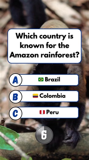 🌎 Amazon Rainforest Quiz #quiz #fun #brainteaser #puzzle | Pediabox Lagecy