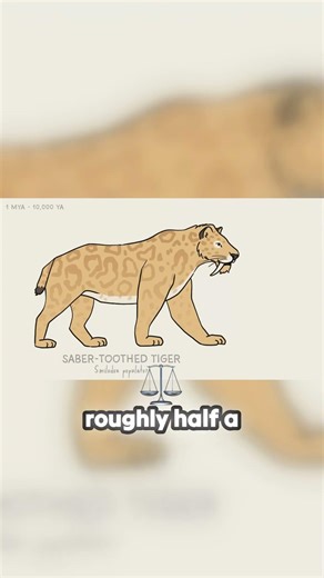 The 1,000lb Saber-Toothed Cat With 11-Inch Teeth!