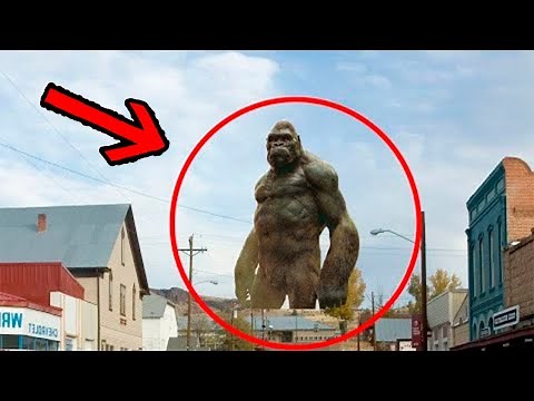 6 King Kongs Caught on Camera and Seen in Real Life