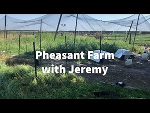 Pheasant Farm with Jeremy