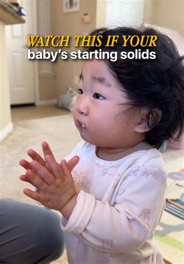 Essential Baby Food Maker for Easy Homemade Purees