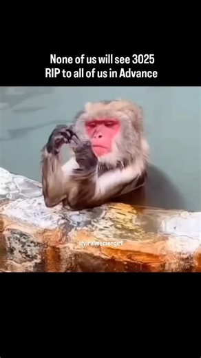 Meme | Viral Videos | Funny Content on Instagram: "RIP guys🙏"