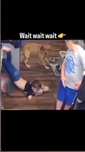 Wall QL (Quadratus Lumborum) Stretch #physiotherapist#backpainrelief#backpain