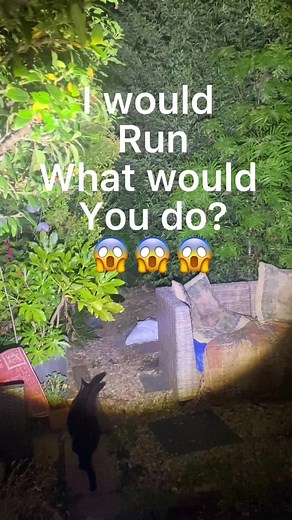 #horror#monster#creepy#vampire#zombie#nightmare#frightening #scary#terrortiktok #CapCut