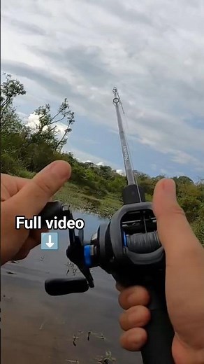 PADU SHIMANO SLX DC #shimanoslxdc #shimanoreels #shorts #reelpancing #mancing
