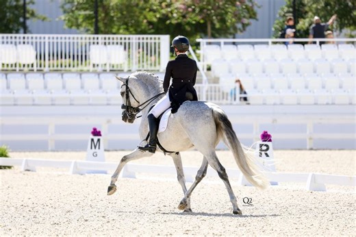 USEF Training Level Test 2- O,AA,J/Y - CDI-W World Equestrian Center – Ocala November Dressage - 2024 | Videos, Live Streams, Films and Shows | ClipMyHorse.TV