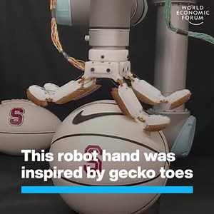 53K views · 338 reactions | Its super-adhesive fingertips mean it can...