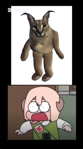 Girls reacting to funny looking floppas