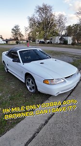 207K views · 2.7K reactions | This 11k Mile Cobra Was Submerged 60% – Can We Save It? | Auto Auction Rebuilds | Facebook