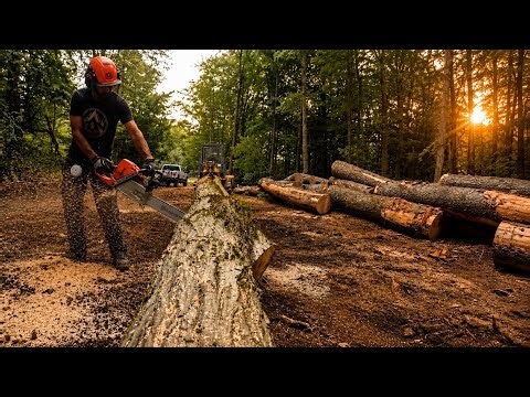 Built a Landing and Pulled a load of Logs in one day