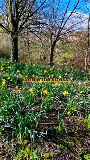 Spring breath #meditation #spring