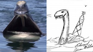 A Florida Teen Said A ‘Sea Monster’ Killed Four Of His Friends