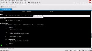 清华教授用48小时讲完的python！完整版400集，拿走不谢，学不会退出IT界