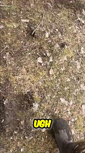 A little lost mitten holds more than just warmth! Discovering unexpected treasures inside—money, a phone charger, and a sweet surprise. What a find! #LostAndFound #MittenSurprise #HiddenTreasure #UnexpectedFind #GoodLuck #MagnetFishing | The Fisher