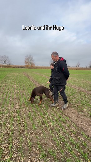 Fährtenseminar in Brandenburg– Jugendpower im IGP-Sport! Leonie und ihr junger Dobermannrüde Hugo waren mit beim Fährtenseminar – und die beiden haben ihren kostenlosen Seminarplatz über K9andsports absolut verdient genutzt! Hugo, ein noch sehr junger und temperamentvoller Rüde, steckt voller außergewöhnlichem Potenzial. Genau hier ist es entscheidend, die Fährte so zu legen, dass Teamarbeit statt Kräftemessen entsteht. Und Leonie hat das mit einer beeindruckenden Ruhe und Klarheit umgesetzt. Ge