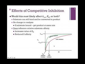 049-Competitive Inhibition