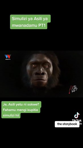 Wasafi Tv.. The Storybook on TikTok