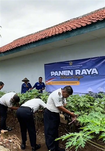 Panen Raya Ketahanan Pangan #rutan #pekalongan #ketahananpangan #panen