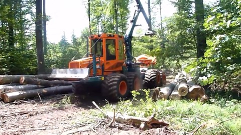 High-Powered Machines Working Wonders in Wood Processing