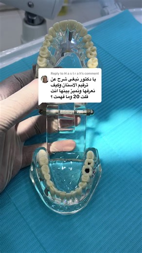 Understanding Teeth Numbering Systems