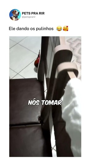Ele dando os pulinhos❤️🐶