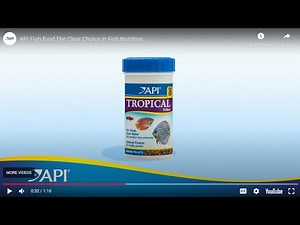 API FISH FOOD | Feeding aquarium fish, what to feed and how often?