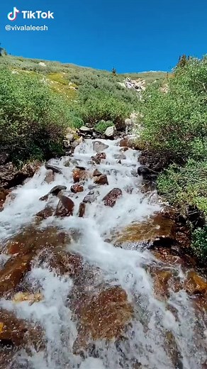 Explore Wheeler Lake Trail in Fairplay, Colorado