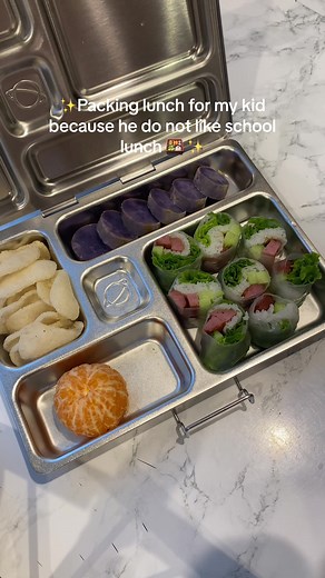 Homemade Spring Rolls with Peanut Sauce for Kid's Lunch