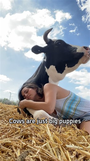 97K views · 6.5K reactions | Alex came to us when he was just two...