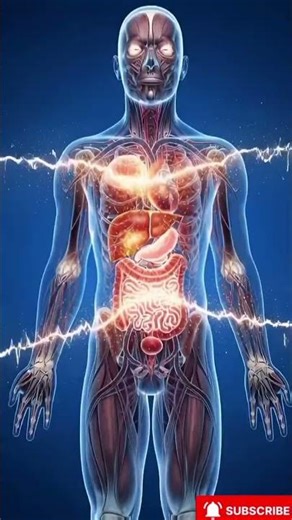 One Sip of Alcohol = Full Body Damage 😳 | Inside the Human Body.#AlcoholEffects #HumanBody #Medical