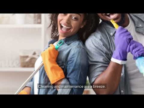 Brigii Crevice Vacuum The Ultimate Handheld Soluti