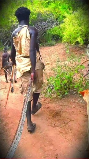 Massive Python Caught in the Wild! 🐍 | Brave Hadzabe Hunters Showcase Incredible Survival Skills