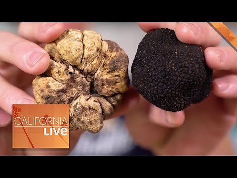 Truffle 101 with the Truffle Shuffle Team | California Live | NBCLA