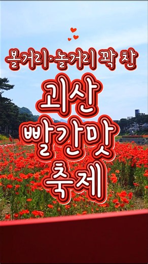 붉은 물결 속! 괴산 빨간맛 축제 #괴산축제 #괴산가볼만한곳 #국내여행